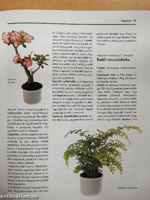 Szobanövény-kalauz