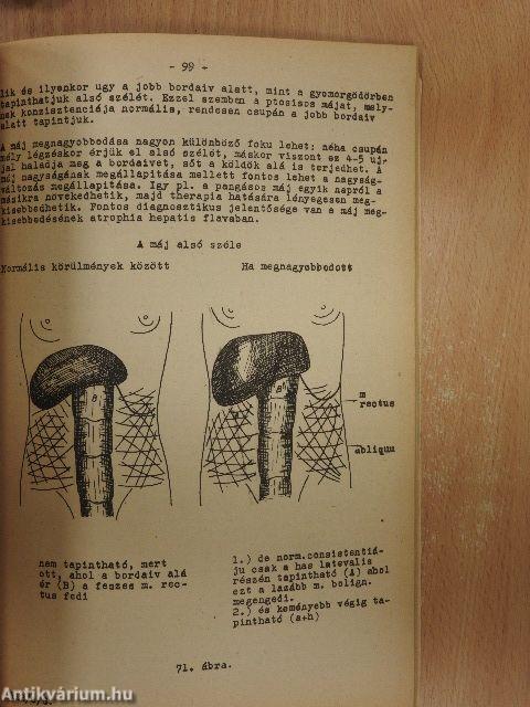 Belgyógyászati propedeutika II.