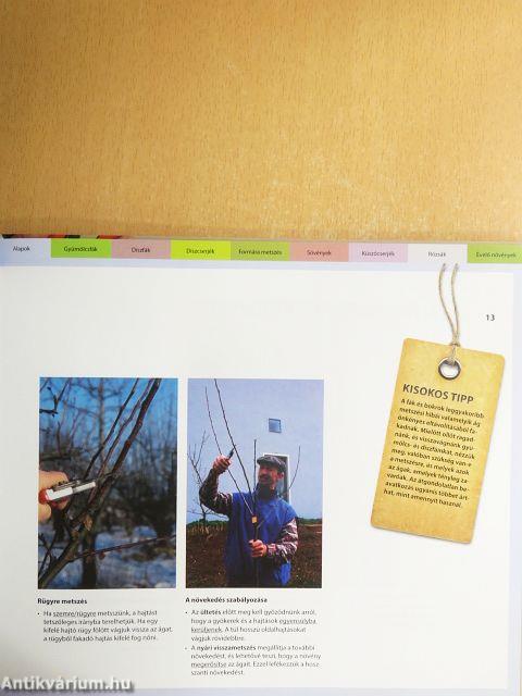 Metszés mindentudó