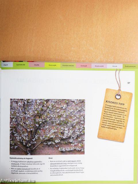 Metszés mindentudó