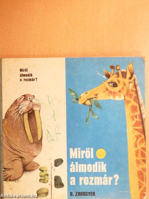 Miről álmodik a rozmár?