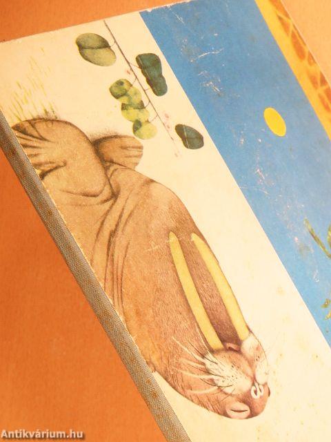 Miről álmodik a rozmár?