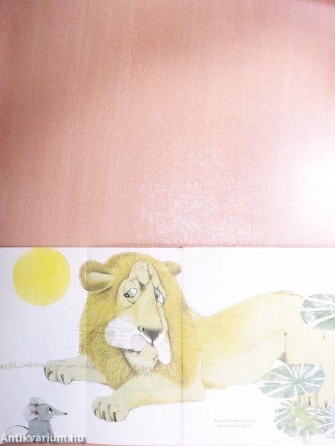 Miről álmodik a rozmár?