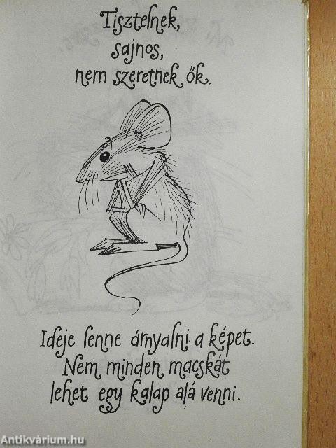 Kandúrhatnámságok