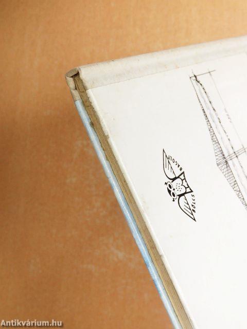 Híd a folyó felett