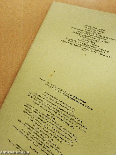 Régi szegedi látképek