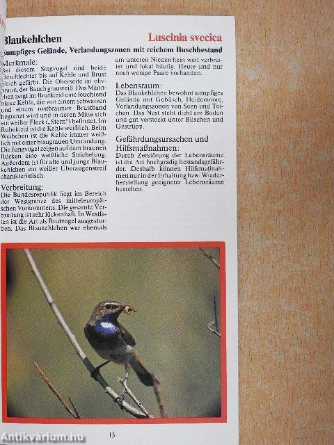 Vom Aussterben bedroht!