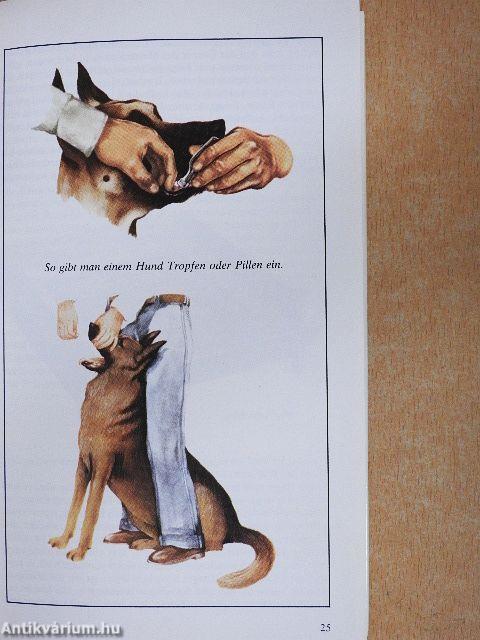 Hunderassen der Welt