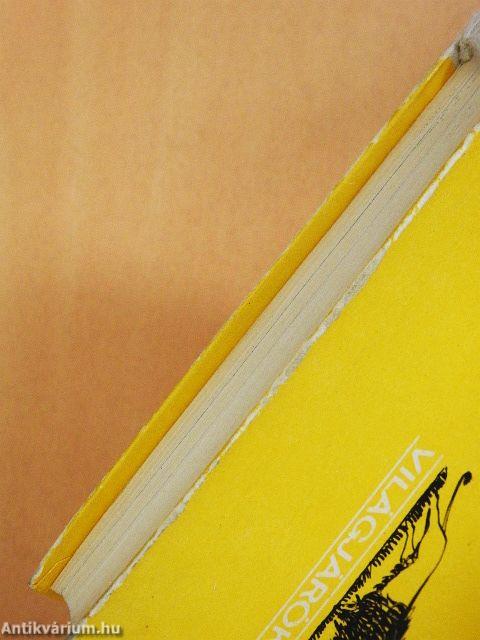 Öszvérrel Etiópiában