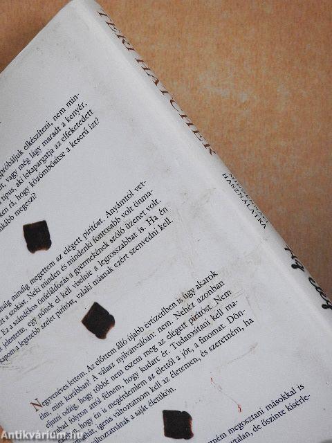 Az elégett pirítós