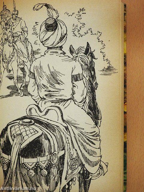 Tomori, büszke vezér