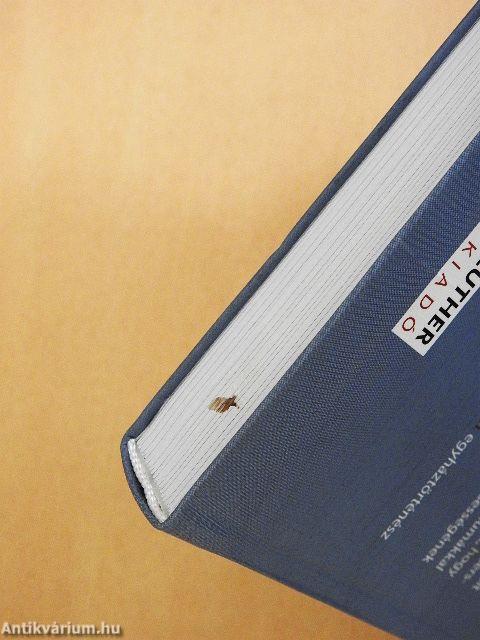 Teológus, tanár, tanú