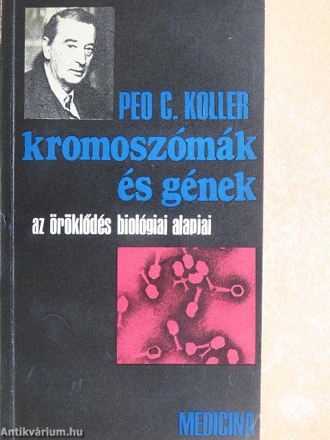 Kromoszómák és gének