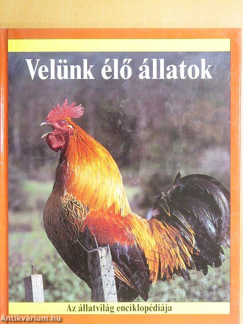 Velünk élő állatok