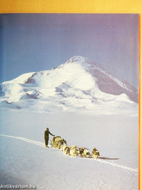 Velünk élő állatok