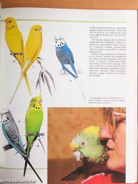 Velünk élő állatok