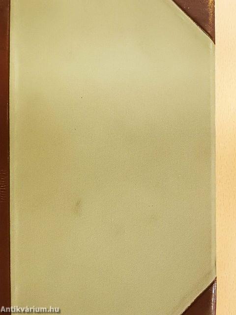 A festőművészet története I-II.