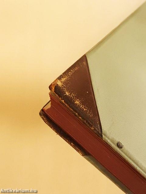 A festőművészet története I-II.