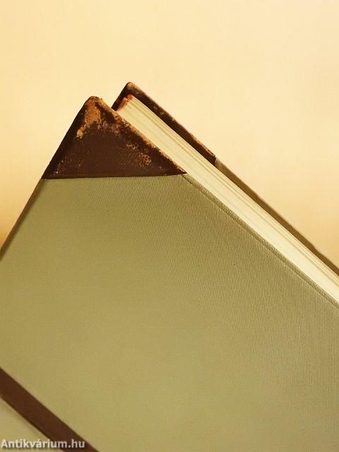 A festőművészet története I-II.