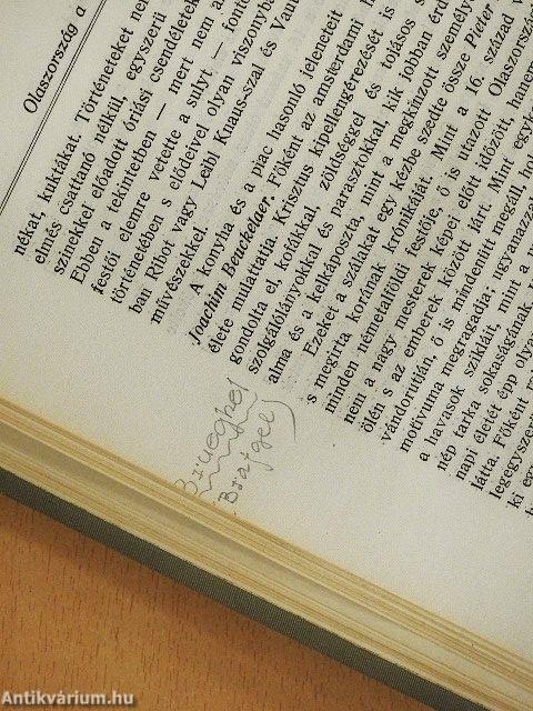 A festőművészet története I-II.