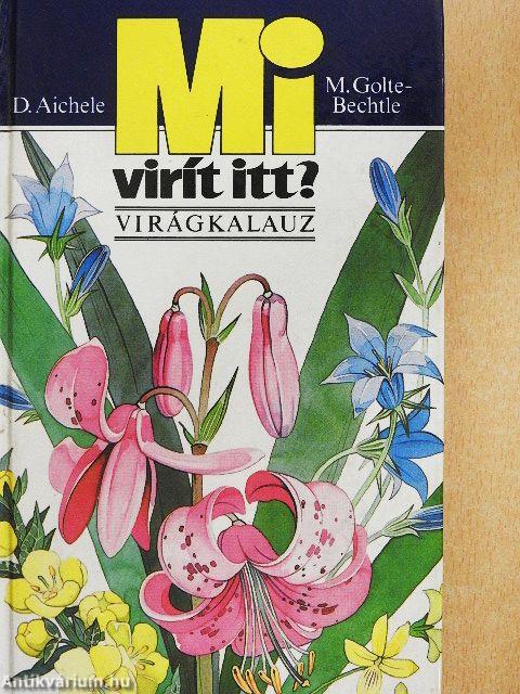 Mi virít itt?