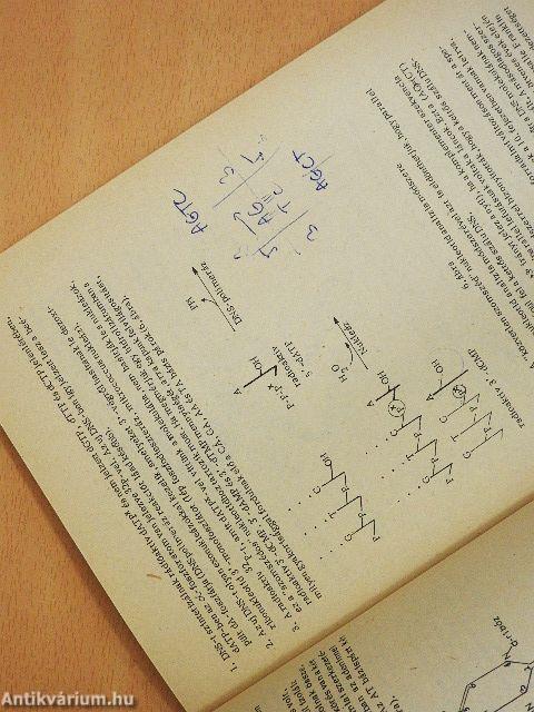 Nukleinsav szintézis