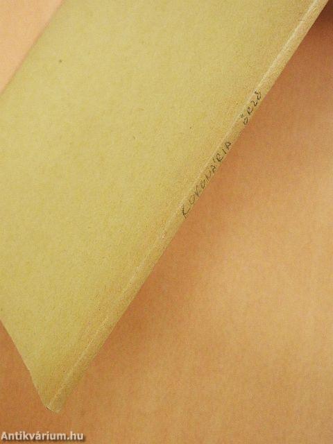 Betegellátás coronari-őrzőben