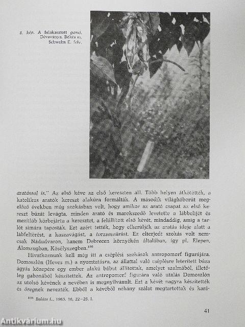 Műveltség és hagyomány