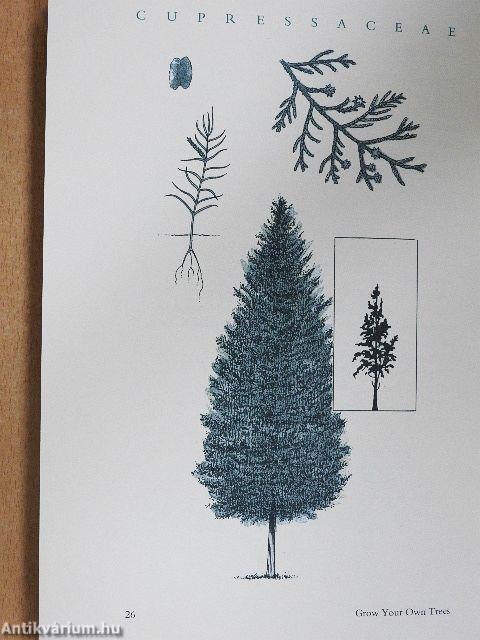Grow Your Own Trees
