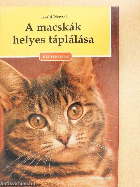 A macskák helyes táplálása