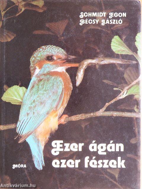 Ezer ágán ezer fészek