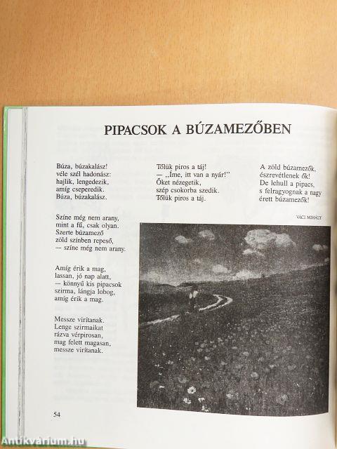 Hétszínvirág - Olvasókönyv 3. osztály számára