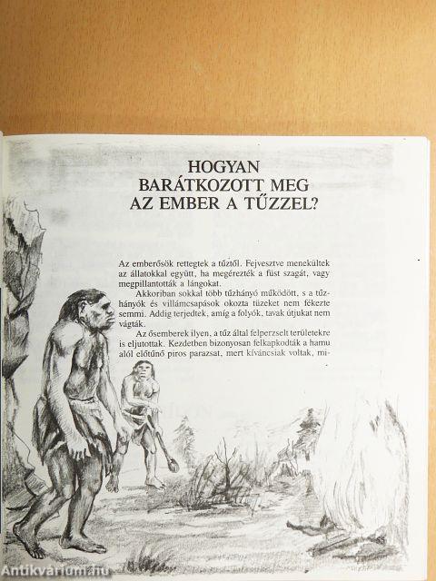 Hétszínvirág - Olvasókönyv 3. osztály számára