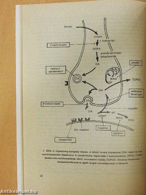 A lelki betegségek gyógyszeres kezelése