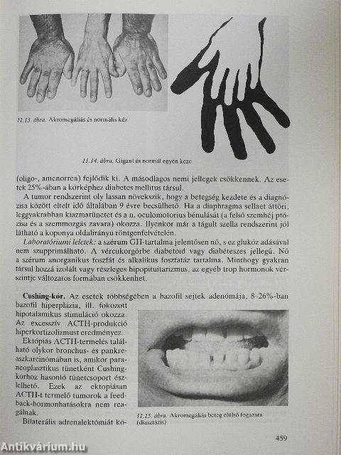 Belgyógyászati diagnosztika