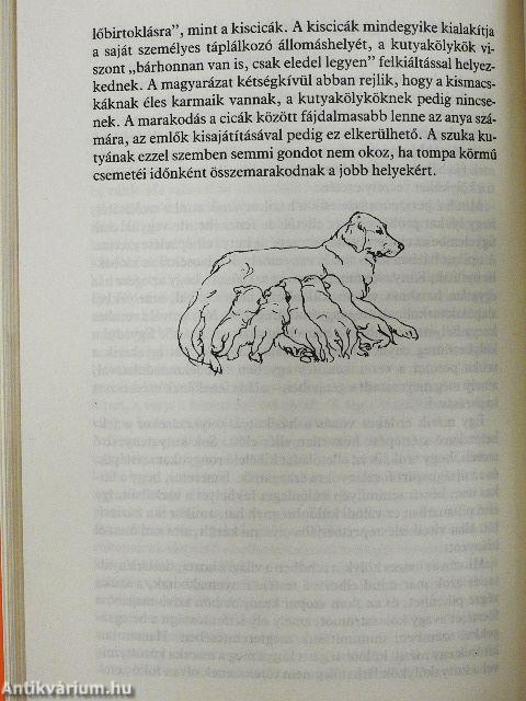 Miért csinálja...? A kutya