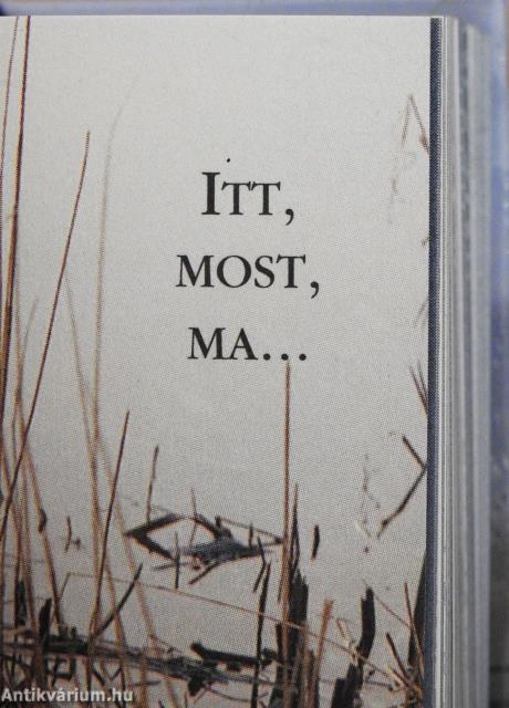 Derű és nyugalom (minikönyv)