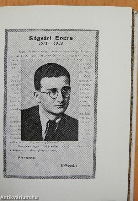 30 esztendő (minikönyv)