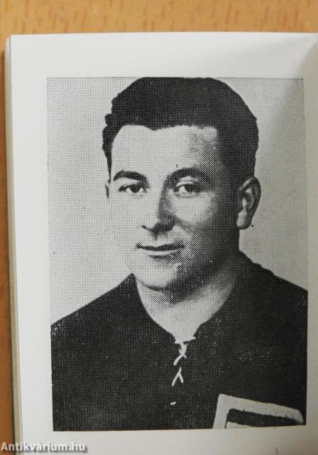 Hajrá Fradi! (minikönyv)