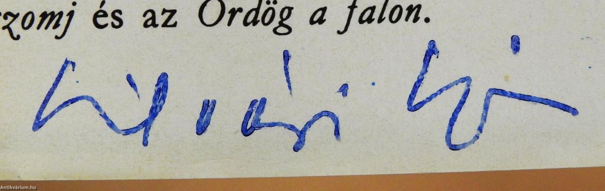 Ködlámpa (aláírt példány)