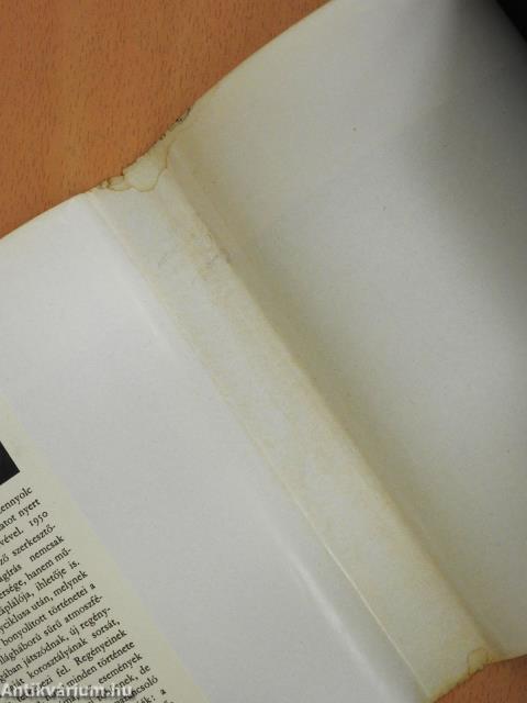 Ködlámpa (aláírt példány)