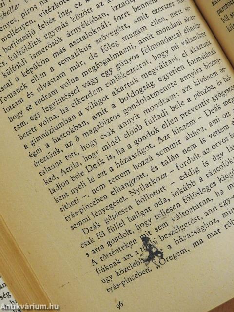 Ködlámpa (aláírt példány)