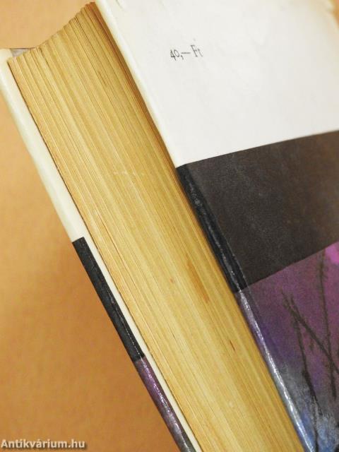 Albérlet a Síp utcában (dedikált példány)