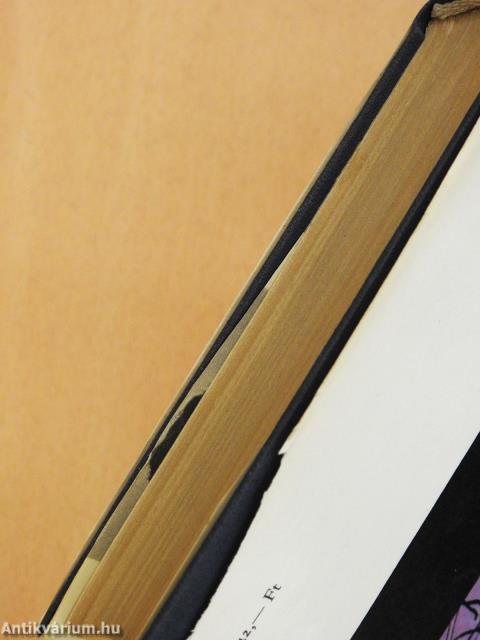 Appassionata (dedikált példány)