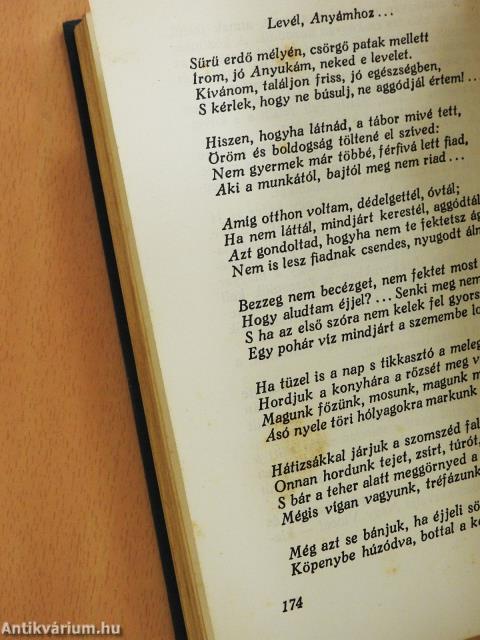 Krasznabecsi háború (dedikált példány)