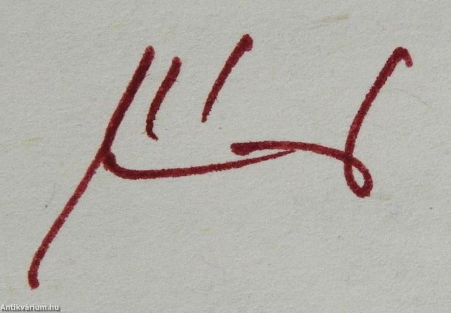 A nemzeted nevében (dedikált példány)