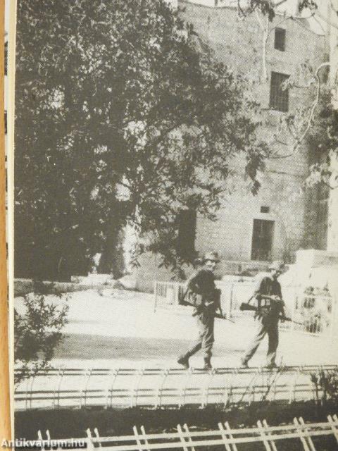 A nemzeted nevében (dedikált példány)