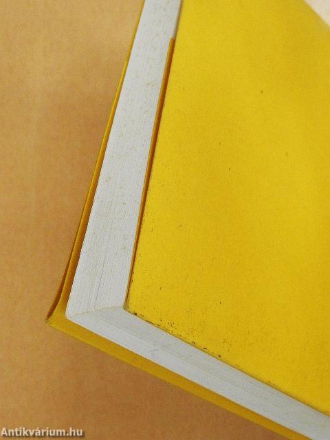 Egy ismeretlen történet