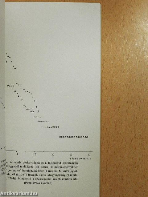 A repülő rovarok abundanciájáról