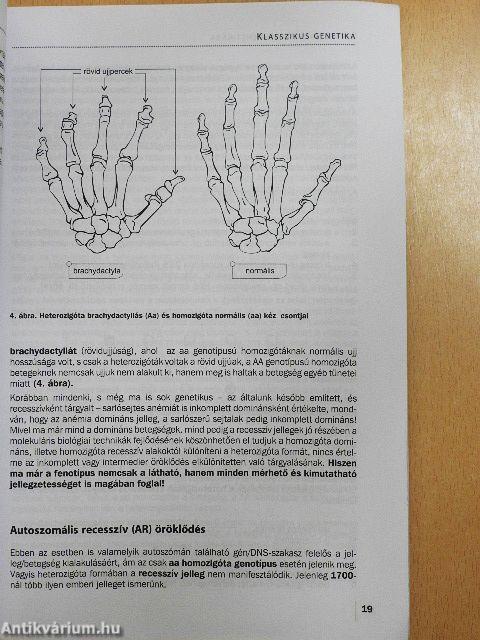 Bevezetés a humángenetikába 